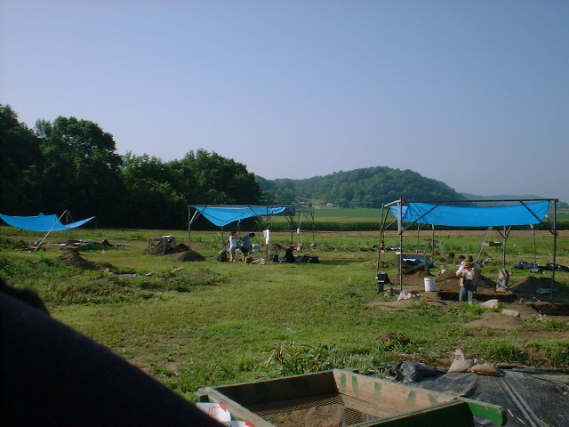Koster Site, Illinois, 2001
