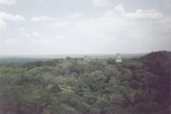 An aerial view of Tikal, Guatemala, 1997