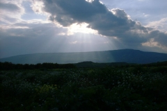 The West Bank at sunset, 2000