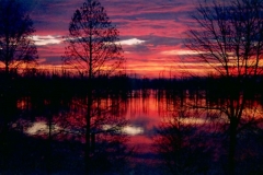 Hovey Lake, Indiana, 2005